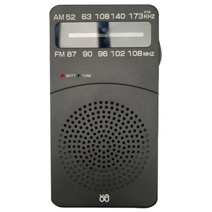 Receptor de radio sintonización digital FM/AM J-166 FM87-108MHz MP39565 - Imagen 1 de 6