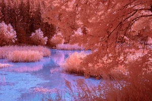 Fullspectrum converted Sony A7 Mark II camera body - Picture 1 of 12