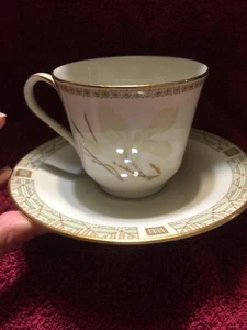 Royal Doulton White Nile TC1122 Cup and Saucer Set - Picture 1 of 4