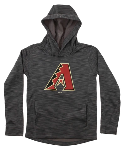 Gen 2 MLB Youth Arizona Diamondbacks Performance Fleece Primary Logo Hoodie Cover