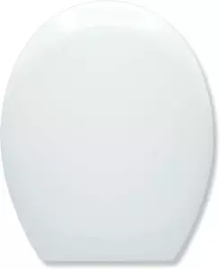 Quick Release Toilet Seat | Soft Close | Heavy Duty | Universal Fit | One Button - Picture 1 of 5