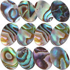  12 Pcs Abalone Shell Finger Noodles Necklace Beads Pearl Earings