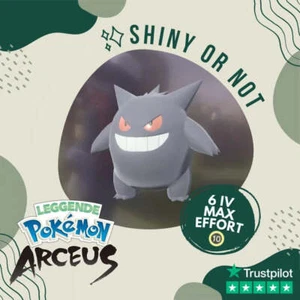 Gengar Shiny ✨ Legends Pokémon Arceus 6 IV Max Effort Alpha Leggende Custom - Picture 1 of 5