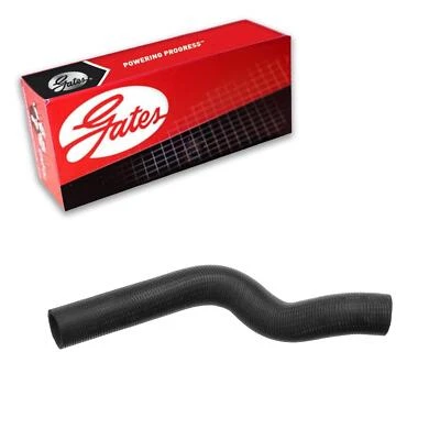 Manguera de refrigerante de radiador Gates superior para Ford Mustang 2005-2006 4,6 L V8 gas Foto 1 de 4