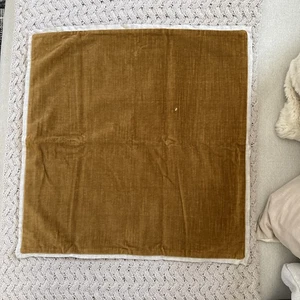 West Elm Classic Cotton Velvet Pillow Cover 20”x20” Golden Oak - Picture 1 of 4
