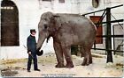New York City Postcard NYZP 4849 Indian Elephant Gunda Zookeeper 1921