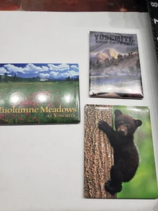 Yosemite High Country Tuolumne Meadows Baby Bear cub magnets - Picture 1 of 1