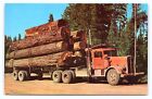 Truck Transporting Large Logs Paul Bunyans Toothpicks  Vintage View Postcard B27
