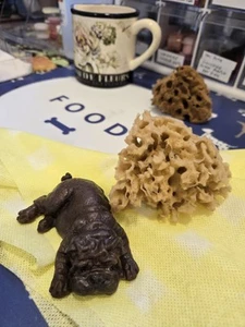 9CM 100% Full Silicone Shar-Pei Dog - Picture 1 of 3