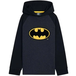 Sudadera con capucha para niños Batman - Sudadera ligera para niños - Imagen 1 de 4