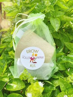 Indoor Kitchen Herb Grow Kit Gift Set - Heirloom Seeds - Free Shipping! - Image 1 of 4