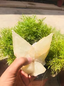 Hermosa muestra mineral de racimo de cristal de calcita diente natural de perro de 1134 g - Imagen 1 de 14