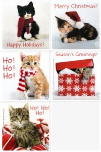 Cats and Kittens Xmas Rachael Hale Stickers x 5 - Christmas Cards Secret Santa - Picture 1 of 7