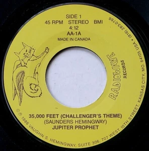 Jupiter Prophet 45 35,000 Feet - Private Minimal Synth - HEAR - Picture 1 of 2