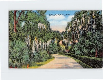 Postcard Isle of Hope Savannah Georgia USA - Image 1 of 2