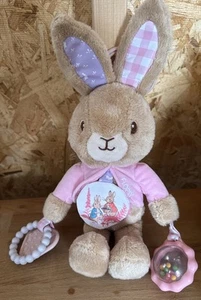 The world of Beatrix Potter Peter Rabbit Flopsy Rattle Activity Plush Approx 12” - Picture 1 of 19