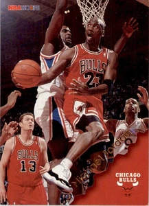 Aros de baloncesto 1996-97 Michael Jordan Chicago Bulls #20 - Imagen 1 de 2
