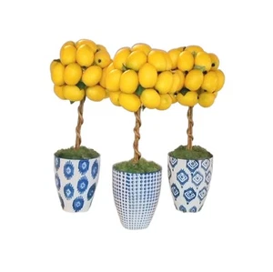 The French Bee Potted Set/3 Lemon Topiary 13" - Picture 1 of 10