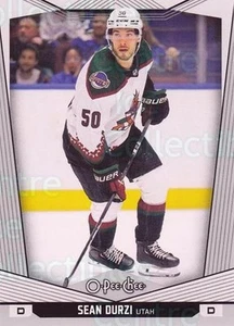 2024-25 O-Pee-Chee #117 Sean Durzi - Picture 1 of 1