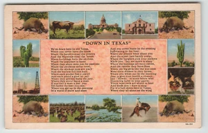 Cartolina Giù in Texas Poesia Vedute Multiple della Fauna Selvatica - Foto 1 di 2