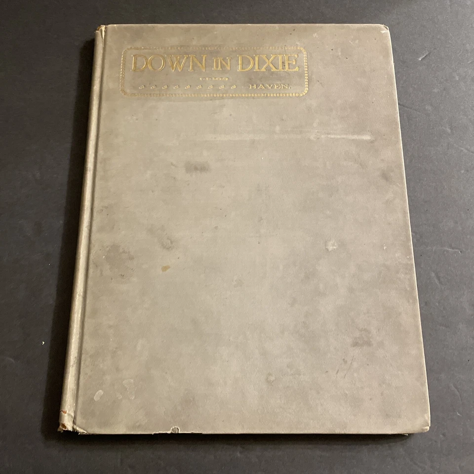 Southern History : Down in Dixie - Sights & Impressions / 1899 Hardcover Foto 1 de 4