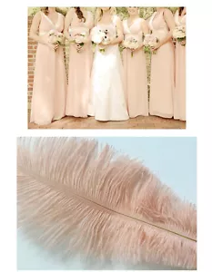 Rubor rosa plumas de avestruz plumas de boda 10-12 pulgadas 12 piezas (GA, EE. UU.) - Imagen 1 de 7
