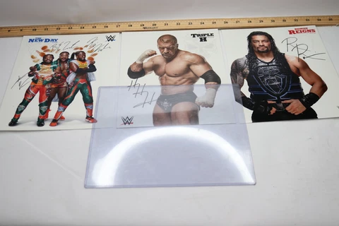 WWE Poster Pack w Protective Cover Triple H The New Day Roman Reigns Cover
