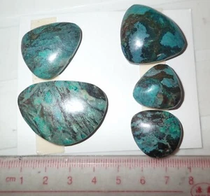 Turquoise Stone Flat Free Form Cabochon 153.5 Carat 5 pieces 30.7 gram Lot C - Picture 1 of 3