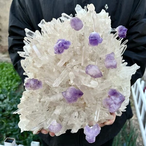 11.79LB Natural Transparent Chrysanthemum crystal Cluster with Amethyst Specimen - Picture 1 of 11