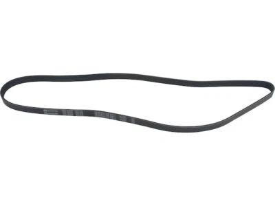 Para BMW 320i 2001-2005 Multi Rib Cinturón Dirección Asistida API 62363CR 2002 2003 2004 Foto 1 de 2