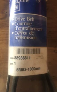 GM OEM 88986811 Belt NOS 6 Ribs- 1800mm  - Bild 1 von 2