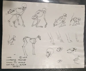 Disney's "Bambi" 1942 B. Original Photostatic Model Sheet - Picture 1 of 1