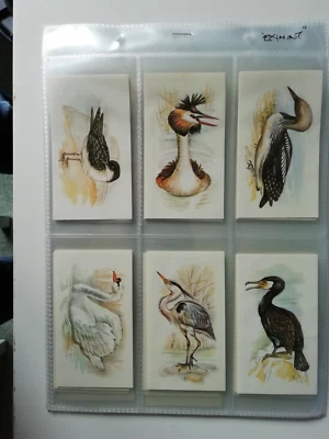 Grandee - British Birds Collection Full Set in Plastic Sleeves. - Image 1 of 4