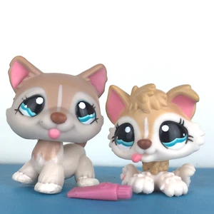 Authentic Littlest Pet Shop Lot 1012 + 1013 Husky Dog Baby Puppy and Mom LPS - Imagen 1 de 3