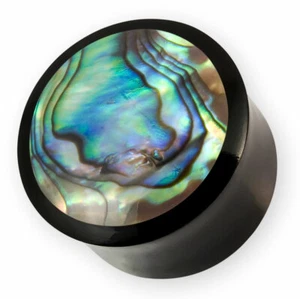 Horn Plug Flesh Tunnel Paua Abalone Shell Mother of Pearl Piercing Double Flared - Picture 1 of 8