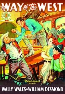 The Way of the West (DVD) Wally Wales Bill Patton William Desmond (US IMPORT) - Picture 1 of 2