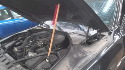 ¡SOLO PAR DE BISAGRAS! Capó para BMW 750i 1766771 09-15 Foto 1 de 4