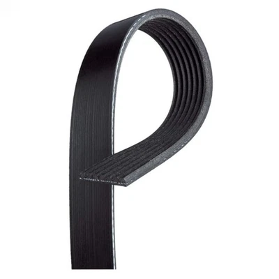 Genuine ACDelco For Dodge Dakota 1997-2003 Serpentine Belt | Standard | 88932855 Foto 1 de 4