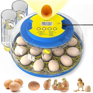 Incubadora de 18 huevos con voltao automatico de huevos y control de humedad - Foto 1 di 12