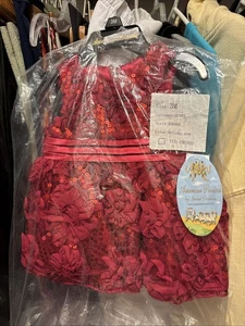CHRISTMAS DRESS American Princess BABY 3M Special Occasion Holiday Floral Lined - Picture 1 of 11