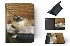 Case Cover For Apple Ipad|himalayan Cat 2