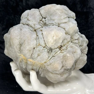 5-1/2" ungeschliffene Geode ungeöffnet geodisiert Fossil Quarz Kristall Chalzedon massiv 4,12 - Bild 1 von 8