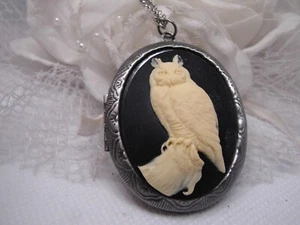 Horned Owl Barn Hoot  Cameo PHOTO SILVER Box Necklace Locket PILL BOX KEEPSAKE - Picture 1 of 11