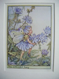 Estampado de hadas de flores vintage y montaje El hada de la achicoria Cicely Barker años 30  - Imagen 1 de 3