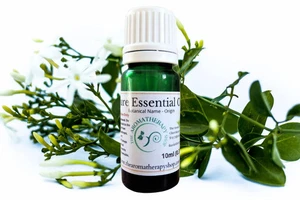 Aceite esencial puro de jazmín Auri / orgánico certificado por el USDA - Imagen 1 de 5