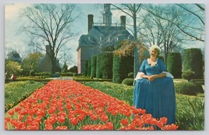Governor's Palace Gardens Williamsburg Virginia VA Tulpe Blumen Postkarte - Bild 1 von 2