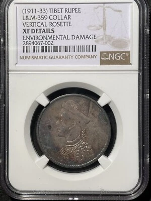 531 (1911-33) Tibet Rupee Y3.2, L&M-359. NGC XF Details - Environmental Damage - Image 1 of 4