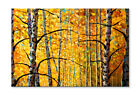 Beautiful Fragments Of Birch Trees Wall Art Limited Edition High Quality Print