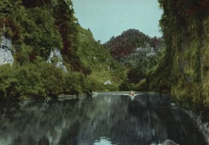 Postal de colección río Whanganui interés histórico y belleza escénica Nueva Zelanda - Imagen 1 de 2