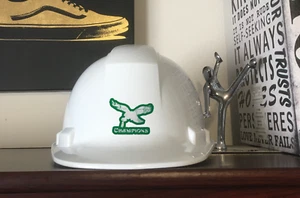 Philadelphia Eagles Super Bowl LIX Champion Pyramex Ridgeline Cap Hard Hat 40 - Picture 1 of 3